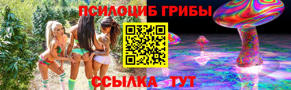Псилоцибиновые грибы мицелий  Галлюциногенные грибы Psilocybine cubensis  Лыткарино  Вход с VPN 