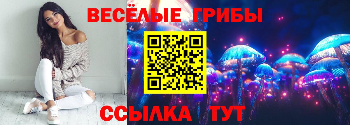 Галлюциногенные грибы мухоморы Лыткарино